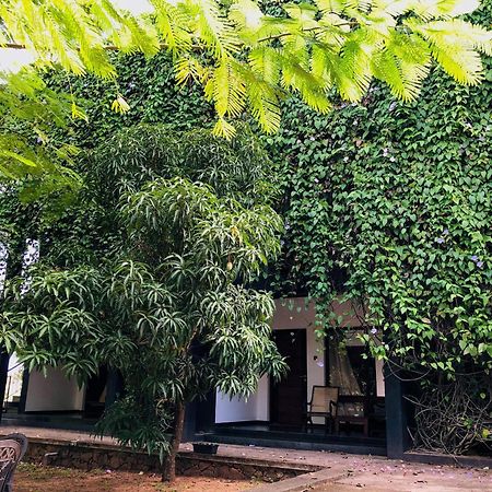 Dambulla Rock Arch Bed & Breakfast Luaran gambar