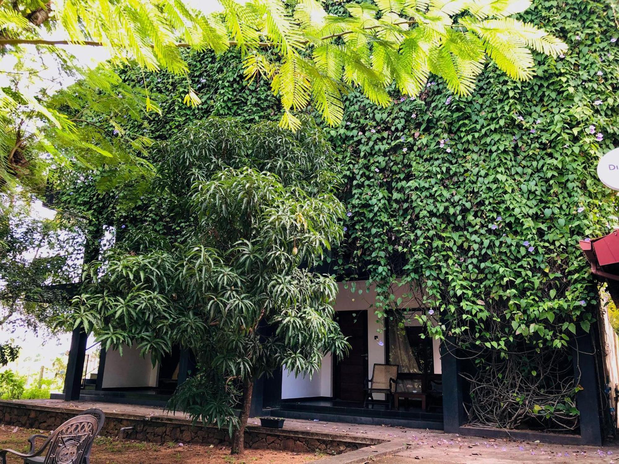 Dambulla Rock Arch Bed & Breakfast Luaran gambar
