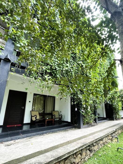 Dambulla Rock Arch Bed & Breakfast Luaran gambar