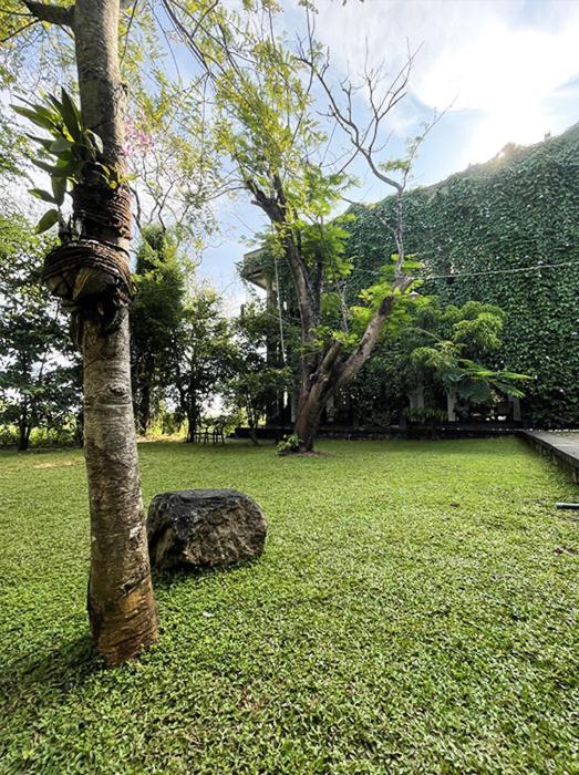 Dambulla Rock Arch Bed & Breakfast Luaran gambar