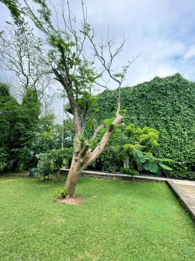 Dambulla Rock Arch Bed & Breakfast Luaran gambar